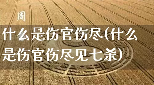 什么是伤官伤尽(什么是伤官伤尽见七杀)_https://www.dao-sheng-yuan.com_算命_第1张