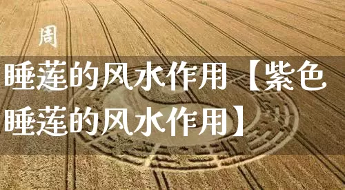 睡莲的风水作用【紫色睡莲的风水作用】_https://www.dao-sheng-yuan.com_风水_第1张