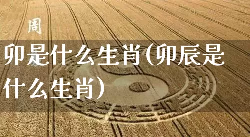 卯是什么生肖(卯辰是什么生肖)_https://www.dao-sheng-yuan.com_生肖属相_第1张