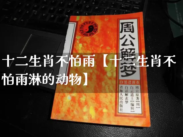 十二生肖不怕雨【十二生肖不怕雨淋的动物】_https://www.dao-sheng-yuan.com_风水_第1张