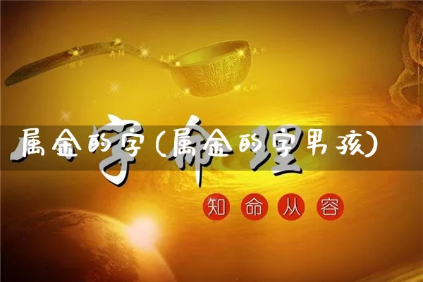 属金的字(属金的字男孩)_https://www.dao-sheng-yuan.com_道源国学_第1张