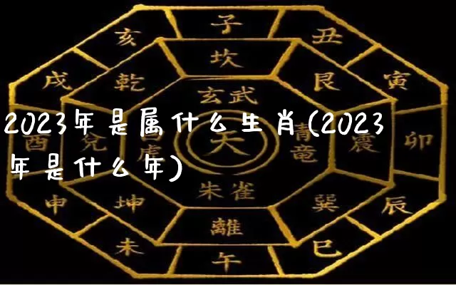 2023年是属什么生肖(2023年是什么年)_https://www.dao-sheng-yuan.com_起名_第1张