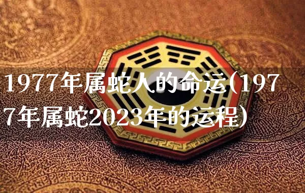 1977年属蛇人的命运(1977年属蛇2023年的运程)_https://www.dao-sheng-yuan.com_五行_第1张
