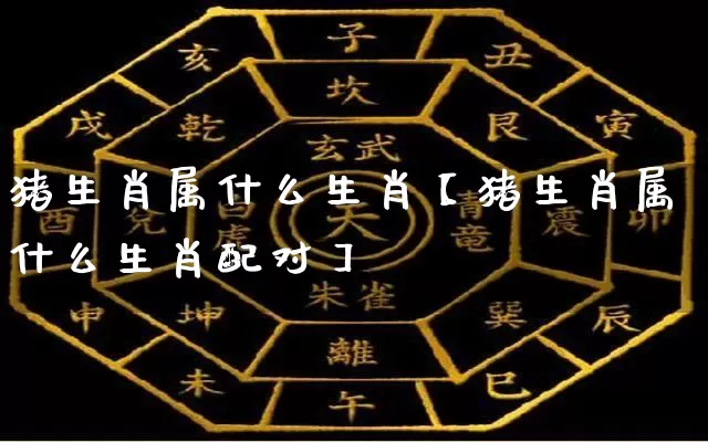 猪生肖属什么生肖【猪生肖属什么生肖配对】_https://www.dao-sheng-yuan.com_生肖属相_第1张