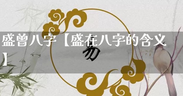 盛曾八字【盛在八字的含义】_https://www.dao-sheng-yuan.com_起名_第1张