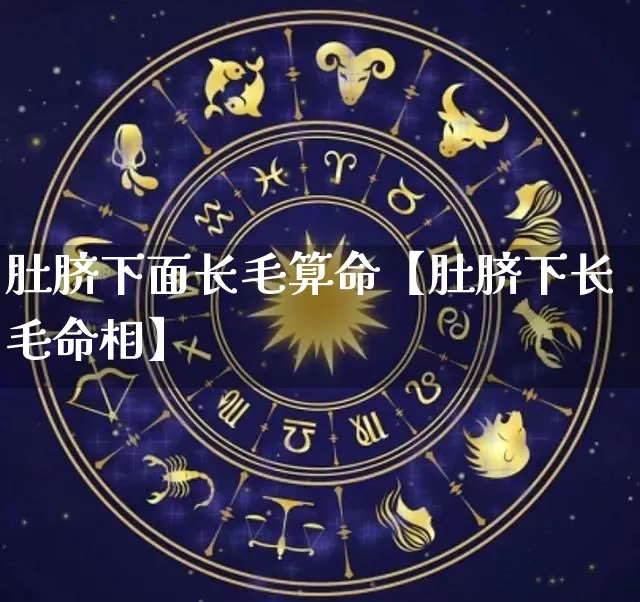 肚脐下面长毛算命【肚脐下长毛命相】_算命_第1张_道圣缘 肚脐下面长毛算命【肚脐下长毛命相】_https://www.dao-sheng-yuan.com_算命_第1张