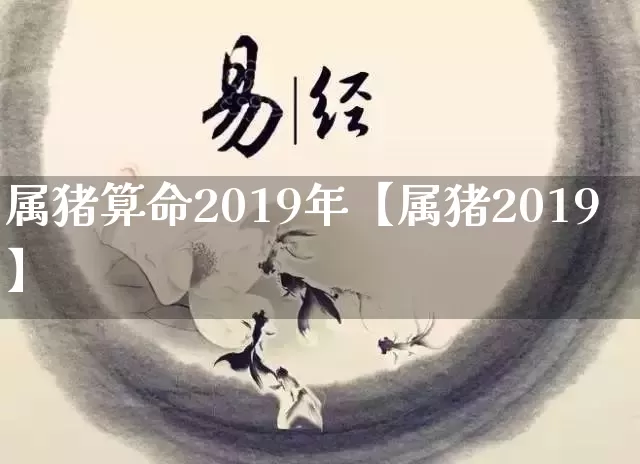 属猪算命2019年【属猪2019】_https://www.dao-sheng-yuan.com_道源国学_第1张