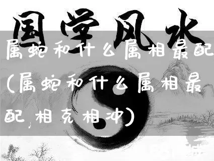 属蛇和什么属相最配(属蛇和什么属相最配,相克相冲)_https://www.dao-sheng-yuan.com_易经_第1张