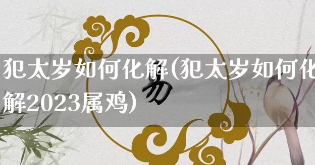 犯太岁如何化解(犯太岁如何化解2023属鸡)_https://www.dao-sheng-yuan.com_易经_第1张