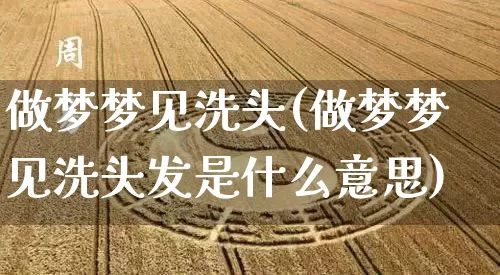 做梦梦见洗头(做梦梦见洗头发是什么意思)_https://www.dao-sheng-yuan.com_起名_第1张