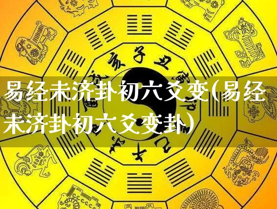 易经未济卦初六爻变(易经未济卦初六爻变卦)_https://www.dao-sheng-yuan.com_易经_第1张