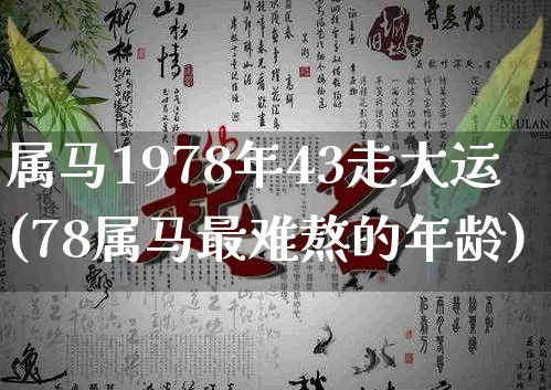 属马1978年43走大运(78属马最难熬的年龄)_https://www.dao-sheng-yuan.com_十二星座_第1张
