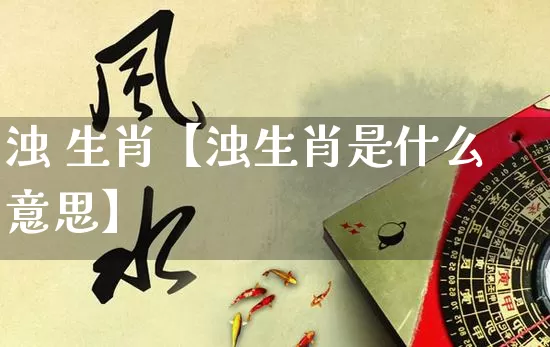 浊 生肖【浊生肖是什么意思】_https://www.dao-sheng-yuan.com_道源国学_第1张