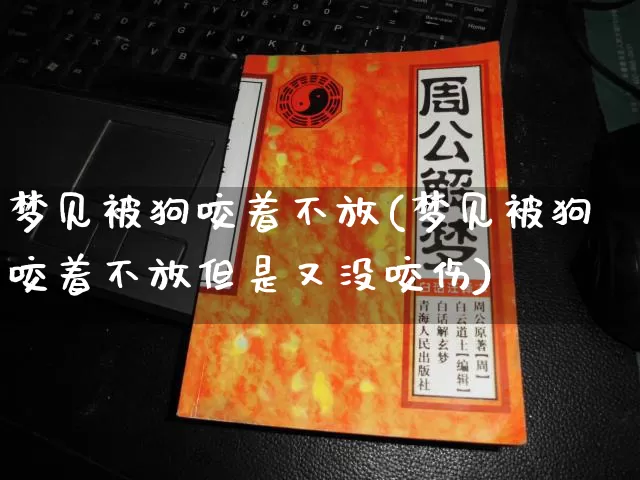 梦见被狗咬着不放(梦见被狗咬着不放但是又没咬伤)_https://www.dao-sheng-yuan.com_十二星座_第1张