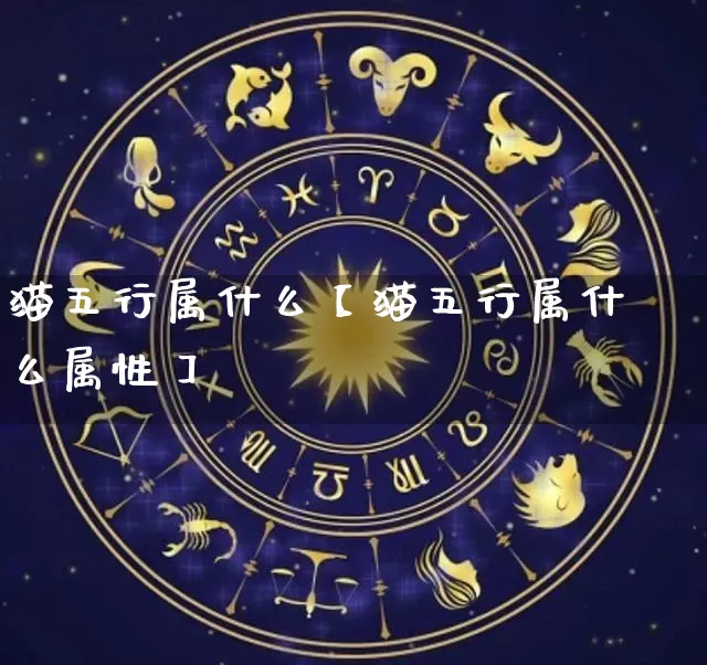 猫五行属什么【猫五行属什么属性】_https://www.dao-sheng-yuan.com_八字_第1张