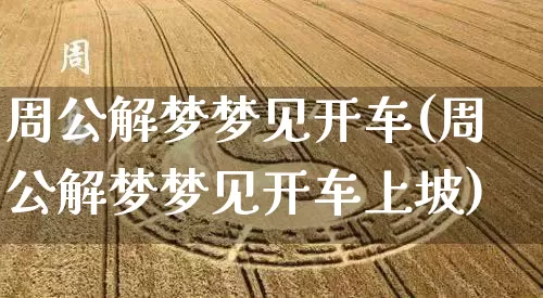 周公解梦梦见开车(周公解梦梦见开车上坡)_https://www.dao-sheng-yuan.com_十二星座_第1张