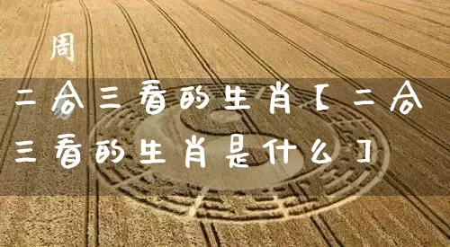 二合三看的生肖【二合三看的生肖是什么】_https://www.dao-sheng-yuan.com_周公解梦_第1张