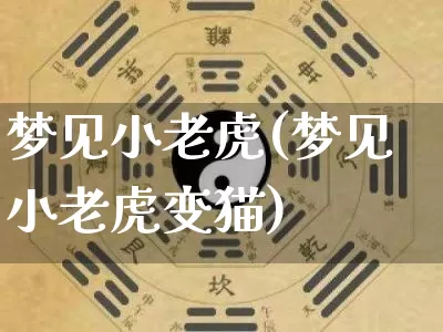 梦见小老虎(梦见小老虎变猫)_https://www.dao-sheng-yuan.com_易经_第1张