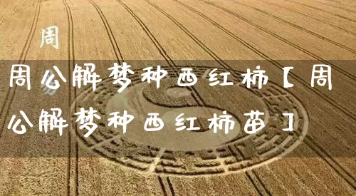 周公解梦种西红柿【周公解梦种西红柿苗】_https://www.dao-sheng-yuan.com_周公解梦_第1张