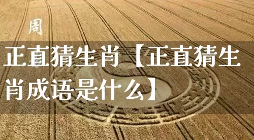 正直猜生肖【正直猜生肖成语是什么】_https://www.dao-sheng-yuan.com_易经_第1张