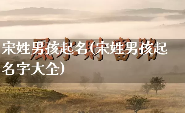 宋姓男孩起名(宋姓男孩起名字大全)_https://www.dao-sheng-yuan.com_道源国学_第1张