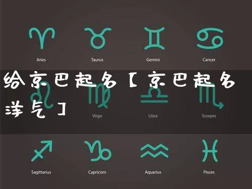 给京巴起名【京巴起名洋气】_https://www.dao-sheng-yuan.com_五行_第1张