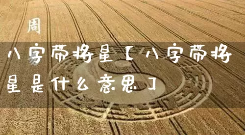 八字带将星【八字带将星是什么意思】_https://www.dao-sheng-yuan.com_十二星座_第1张