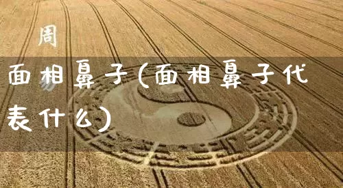 面相鼻子(面相鼻子代表什么)_https://www.dao-sheng-yuan.com_起名_第1张