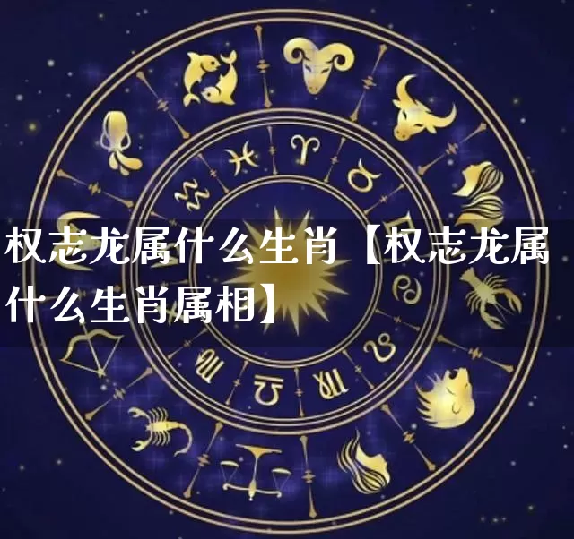 权志龙属什么生肖【权志龙属什么生肖属相】_https://www.dao-sheng-yuan.com_十二星座_第1张
