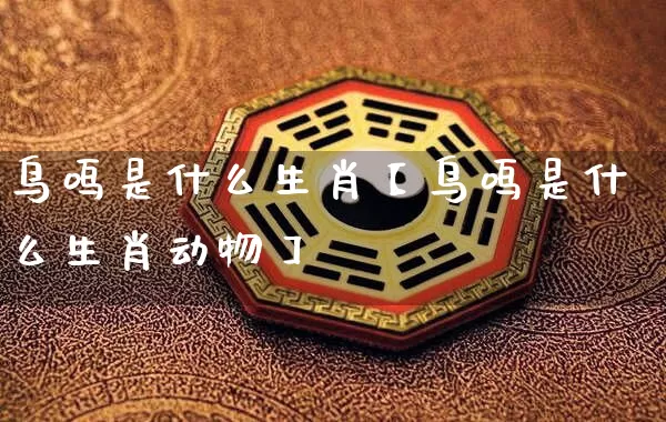 鸟鸣是什么生肖【鸟鸣是什么生肖动物】_https://www.dao-sheng-yuan.com_风水_第1张