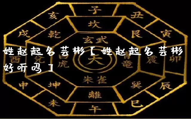 姓赵起名芸彬【姓赵起名芸彬好听吗】_https://www.dao-sheng-yuan.com_十二星座_第1张