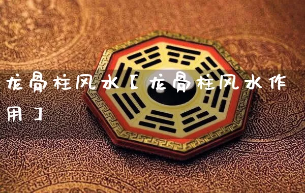 龙骨柱风水【龙骨柱风水作用】_风水_第1张_道圣缘 龙骨柱风水【龙骨柱风水作用】_https://www.dao-sheng-yuan.com_风水_第1张