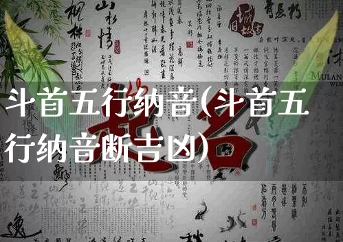 斗首五行纳音(斗首五行纳音断吉凶)_https://www.dao-sheng-yuan.com_五行_第1张