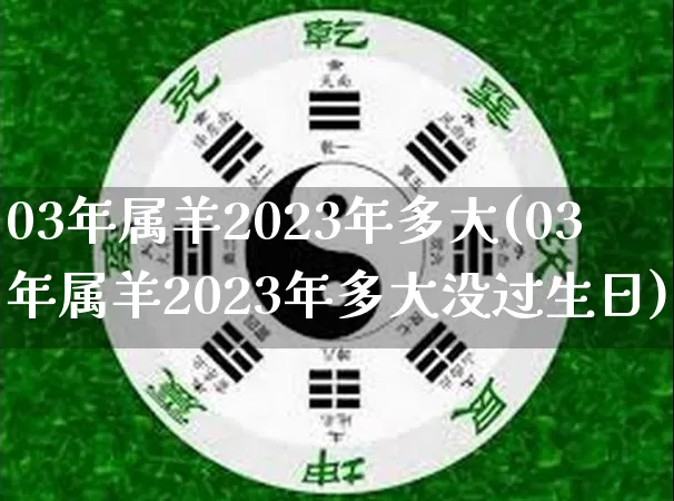 03年属羊2023年多大(03年属羊2023年多大没过生日)_https://www.dao-sheng-yuan.com_十二星座_第1张