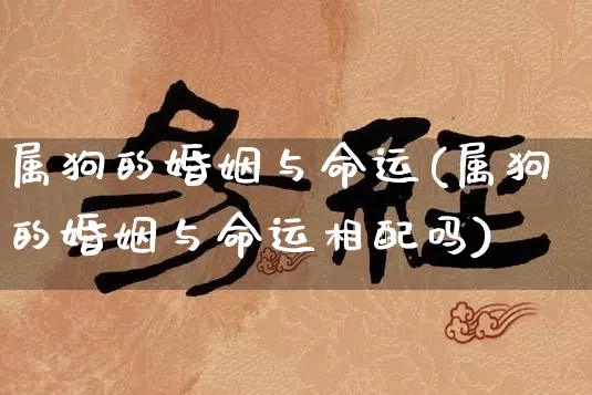 属狗的婚姻与命运(属狗的婚姻与命运相配吗)_https://www.dao-sheng-yuan.com_起名_第1张