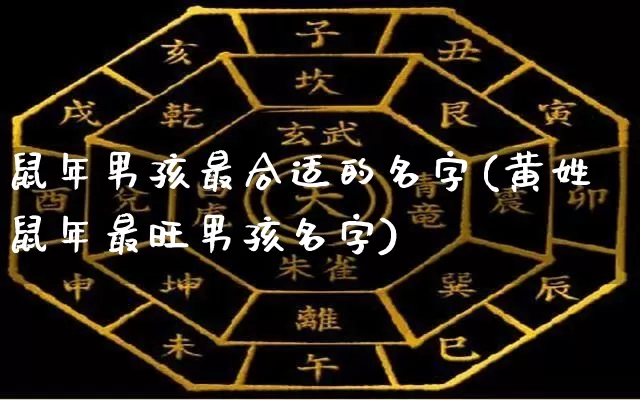 鼠年男孩最合适的名字(黄姓鼠年最旺男孩名字)_https://www.dao-sheng-yuan.com_八字_第1张