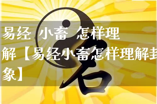 易经  小畜  怎样理解【易经小畜怎样理解卦象】_https://www.dao-sheng-yuan.com_十二星座_第1张