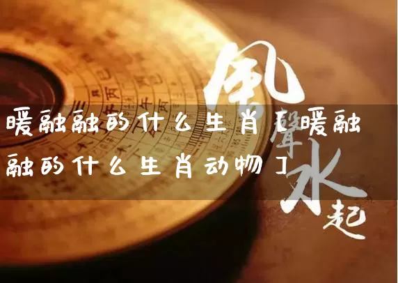 暖融融的什么生肖【暖融融的什么生肖动物】_https://www.dao-sheng-yuan.com_风水_第1张