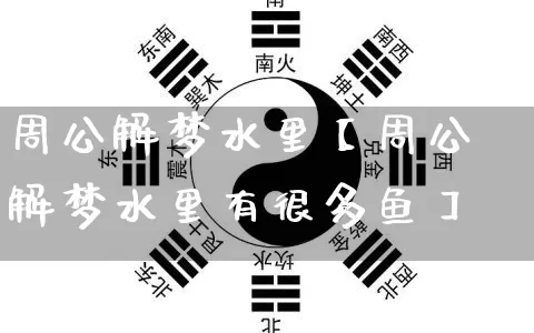 周公解梦水里【周公解梦水里有很多鱼】_https://www.dao-sheng-yuan.com_周公解梦_第1张