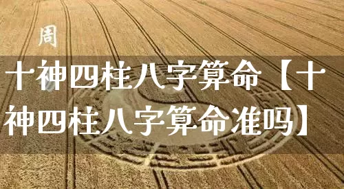 十神四柱八字算命【十神四柱八字算命准吗】_https://www.dao-sheng-yuan.com_算命_第1张