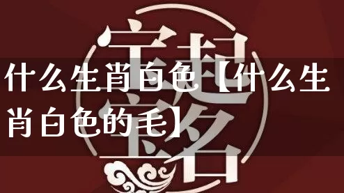 什么生肖白色【什么生肖白色的毛】_https://www.dao-sheng-yuan.com_五行_第1张