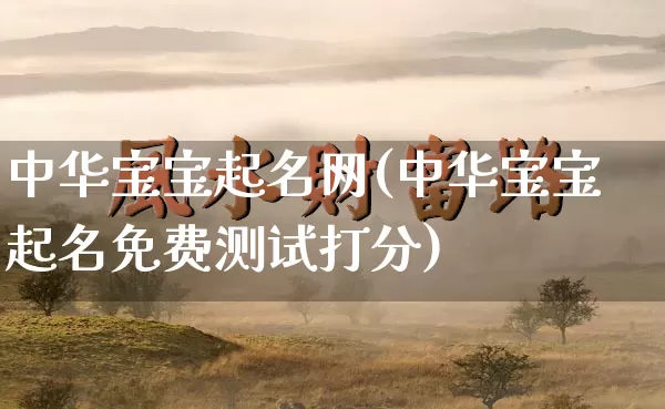中华宝宝起名网(中华宝宝起名免费测试打分)_https://www.dao-sheng-yuan.com_风水_第1张