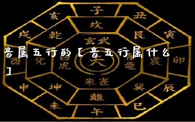 音属五行的【音五行属什么】_https://www.dao-sheng-yuan.com_十二星座_第1张