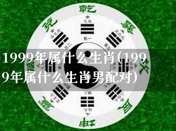 1999年属什么生肖(1999年属什么生肖男配对)_https://www.dao-sheng-yuan.com_周公解梦_第1张