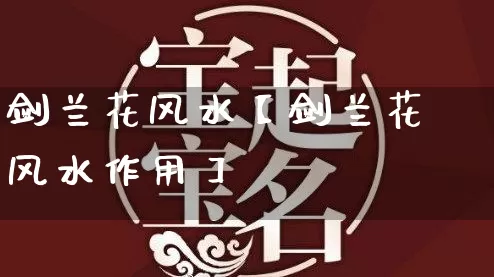 剑兰花风水【剑兰花风水作用】_https://www.dao-sheng-yuan.com_风水_第1张