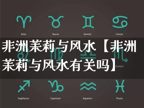 非洲茉莉与风水【非洲茉莉与风水有关吗】_https://www.dao-sheng-yuan.com_生肖属相_第1张