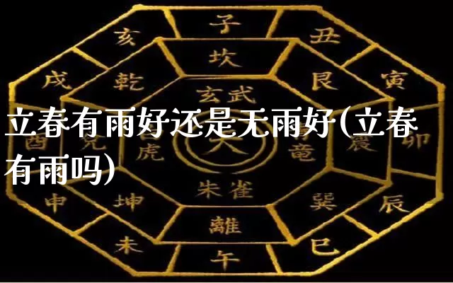 立春有雨好还是无雨好(立春有雨吗)_https://www.dao-sheng-yuan.com_五行_第1张
