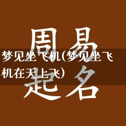 梦见坐飞机(梦见坐飞机在天上飞)_https://www.dao-sheng-yuan.com_易经_第1张