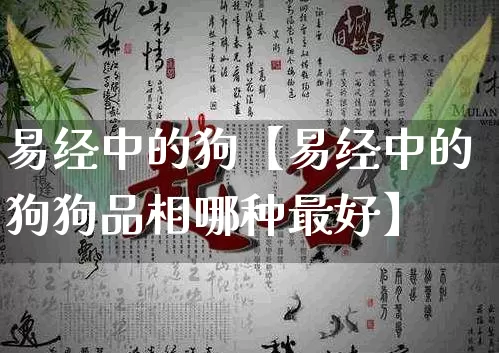 易经中的狗【易经中的狗狗品相哪种最好】_https://www.dao-sheng-yuan.com_生肖属相_第1张