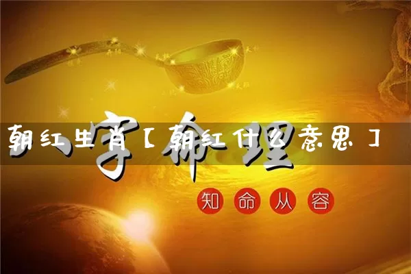 朝红生肖【朝红什么意思】_https://www.dao-sheng-yuan.com_周公解梦_第1张
